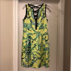 Nanette Lenore Dress